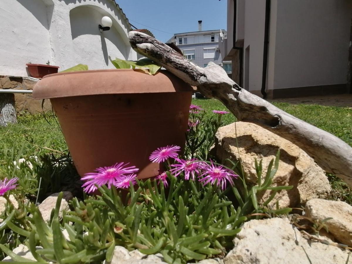 Siana House Hotel Ravda Exterior photo